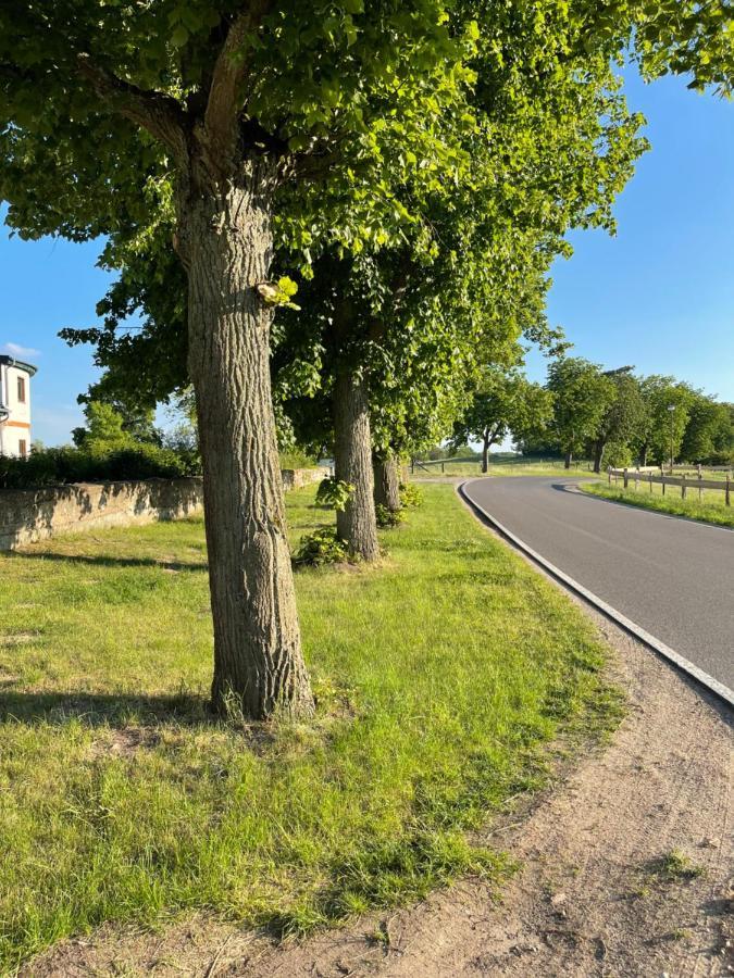 Mitten In Der Natur : Ferienwohnung Mit 3 Schlafzimmern, Neu Eingerichtet Neu Gaarz ภายนอก รูปภาพ