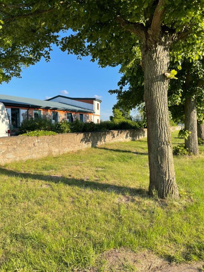 Mitten In Der Natur : Ferienwohnung Mit 3 Schlafzimmern, Neu Eingerichtet Neu Gaarz ภายนอก รูปภาพ